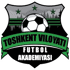 Toshkent VFA 队徽